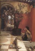 Alma-Tadema, Sir Lawrence An Oleander (mk23) oil on canvas